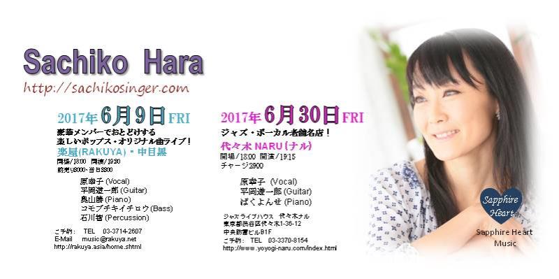 Hara Sachikoロゴ